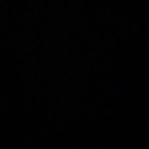 Meet your Posher, Jackson